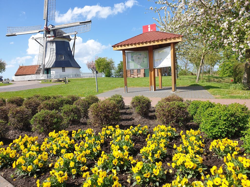 Blick auf die Mühle und Infokasten, im Vordergrund ein Blumenbeet