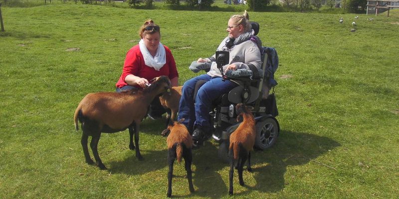 Eine Dame im Rollstuhl ist auf der Streichelwiese umgeben von kleinen Schafen